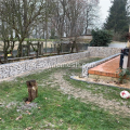 Panier de gabion en fil soudé vert / blanc PVC